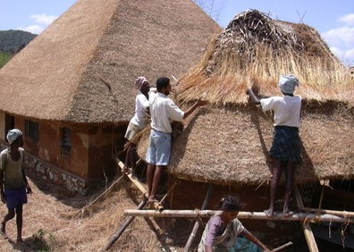 thatching