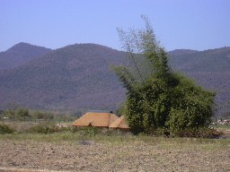 A Panoramic View Of Thulir