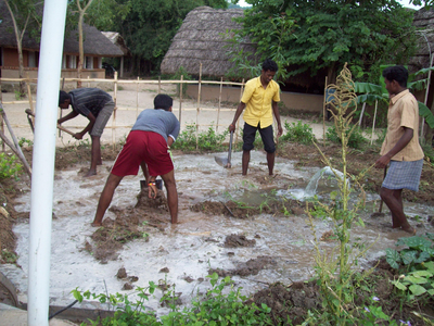 Organic Farming