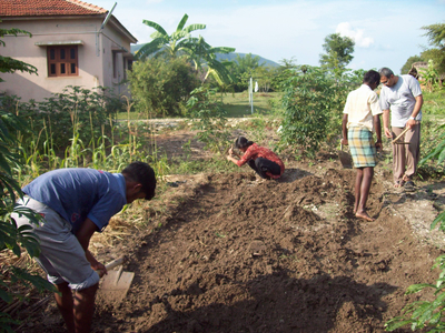 Organic Farming